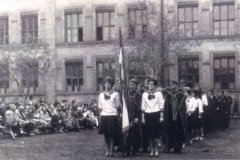 245b.jpg