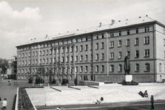 249.jpg
