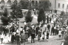 289.jpg